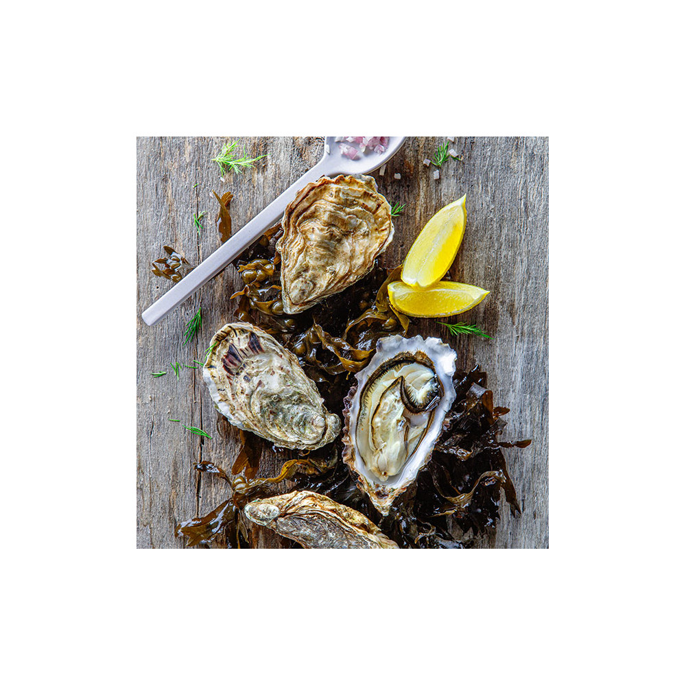 Huîtres creuses de Bretagne fraiches - La Paimpolaise du Large